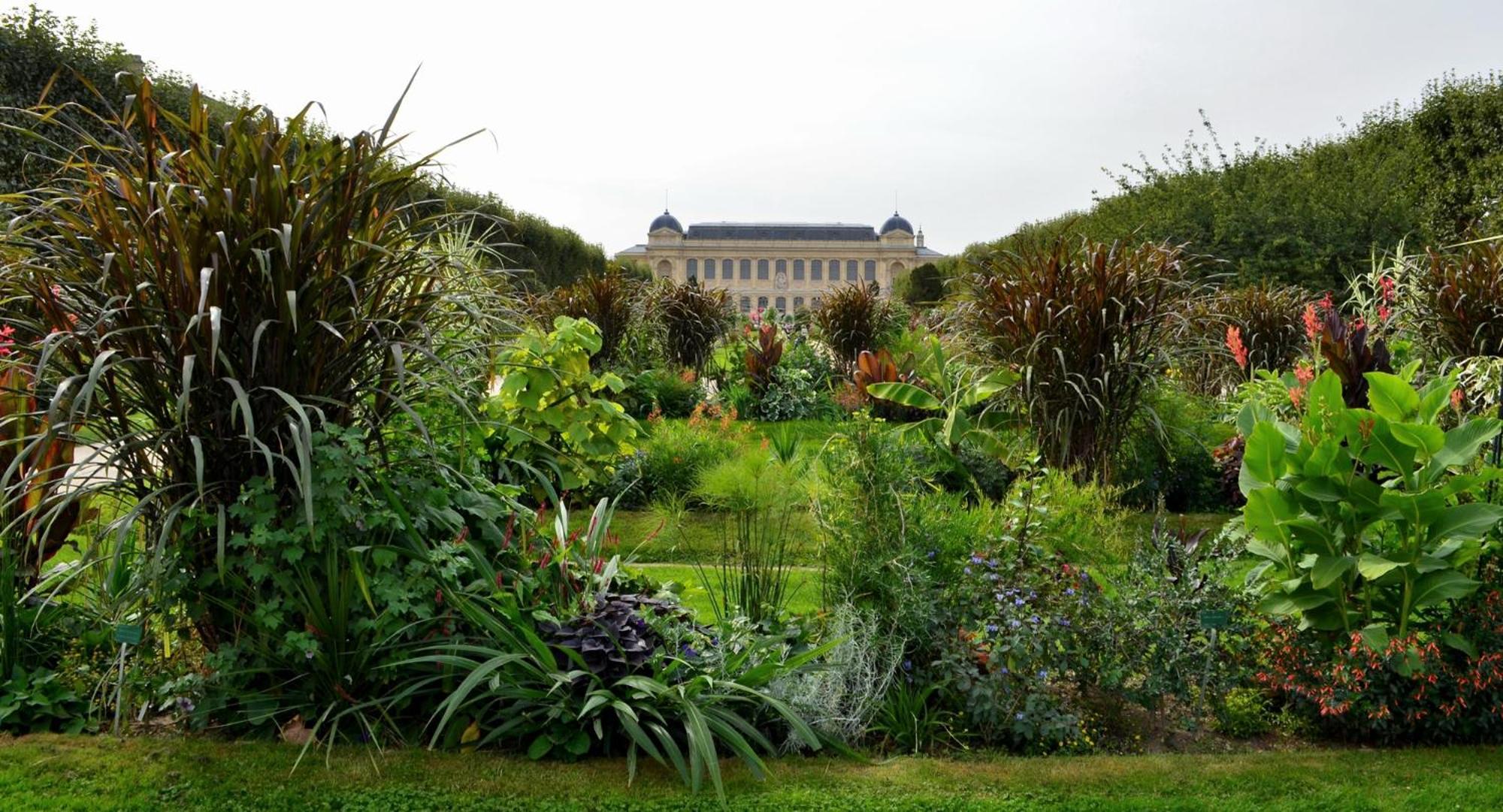 So Paris Group - Fully Serviced Apartment - Jardin Des Plantes - Heart Of París Exterior foto